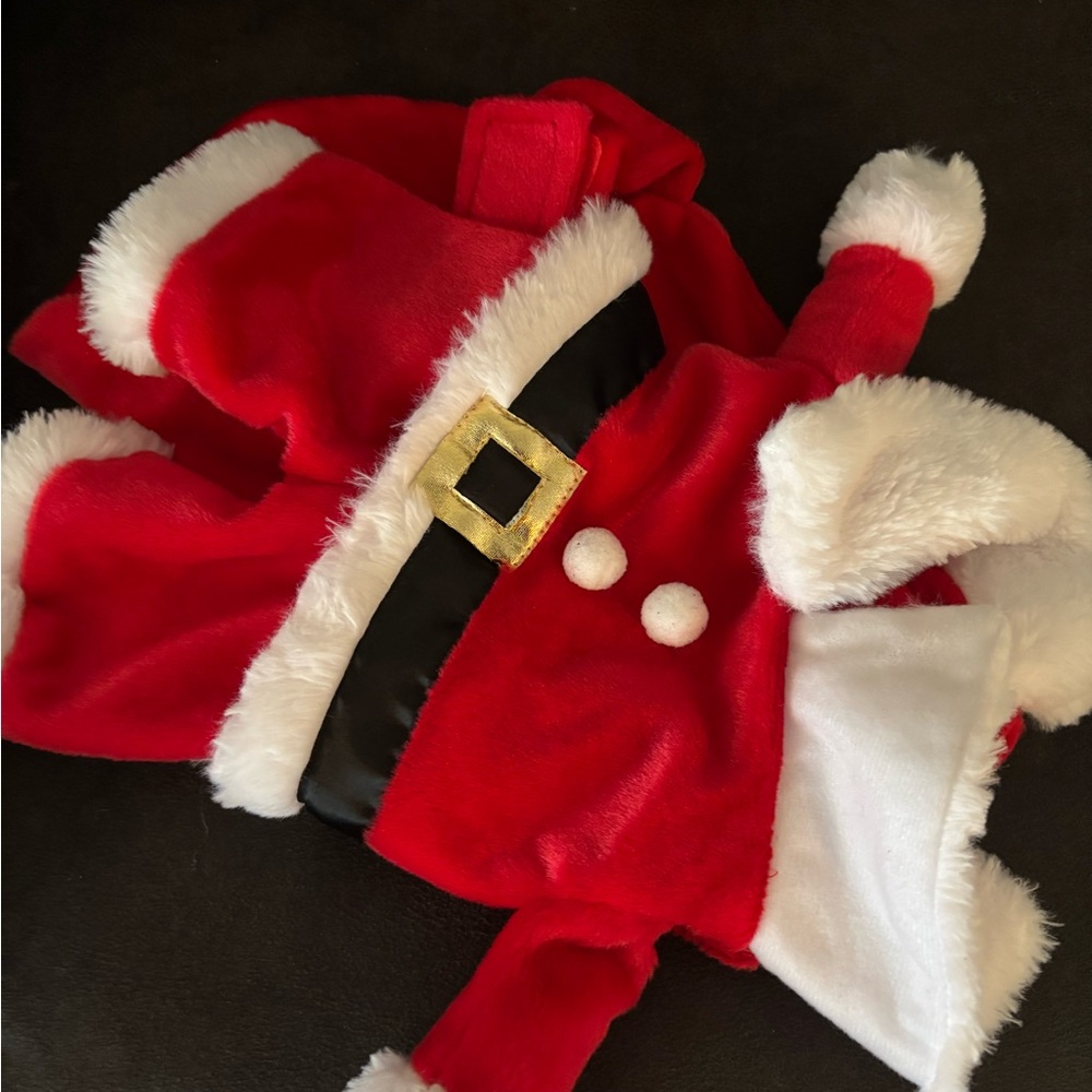 Festive Red Santa Dog Costume